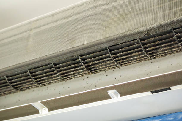 Best Professional Duct Cleaning Services  in Ahtanum, WA